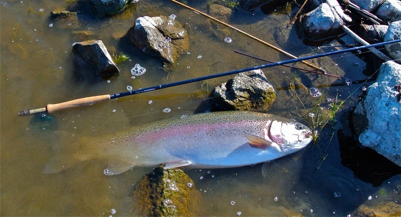 Sink Rates And Stripping Streamers 3