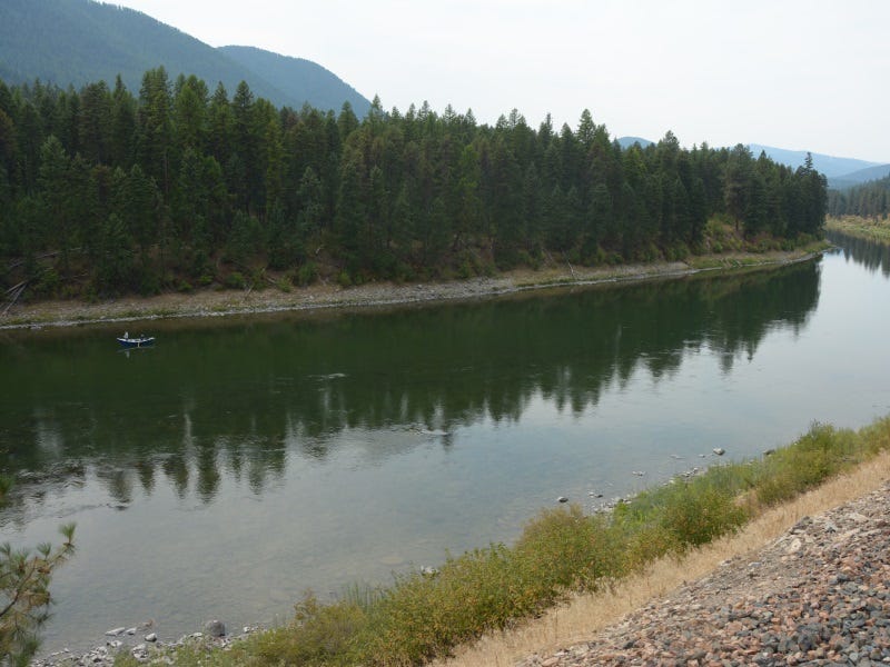 Clark Fork River Fishing Report 10.5.2017