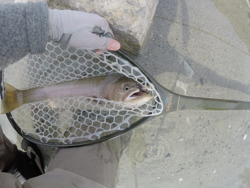 Eastern Washington Fishing Report 10.19.2017