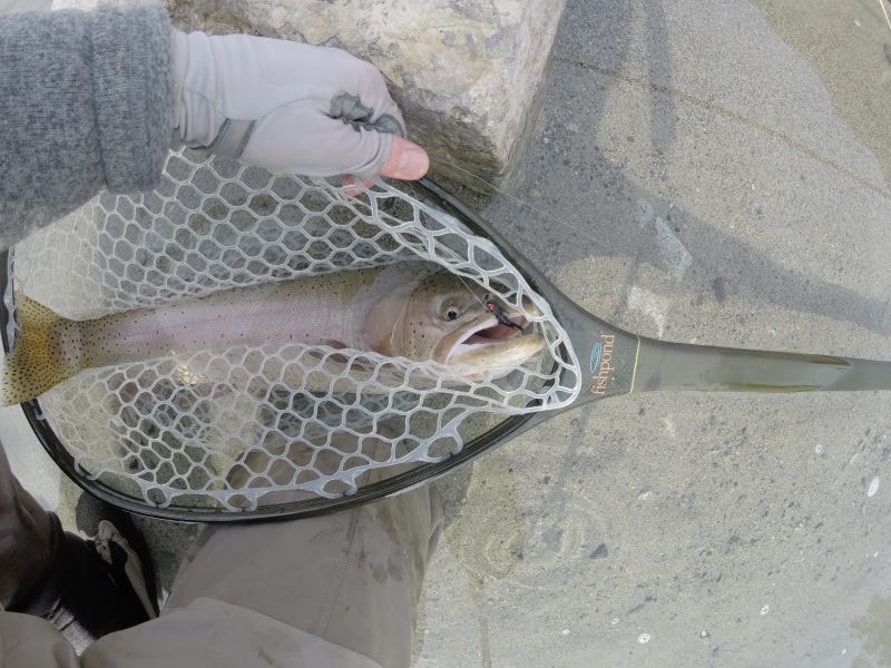 Eastern Washington Fishing Report 10.12.17