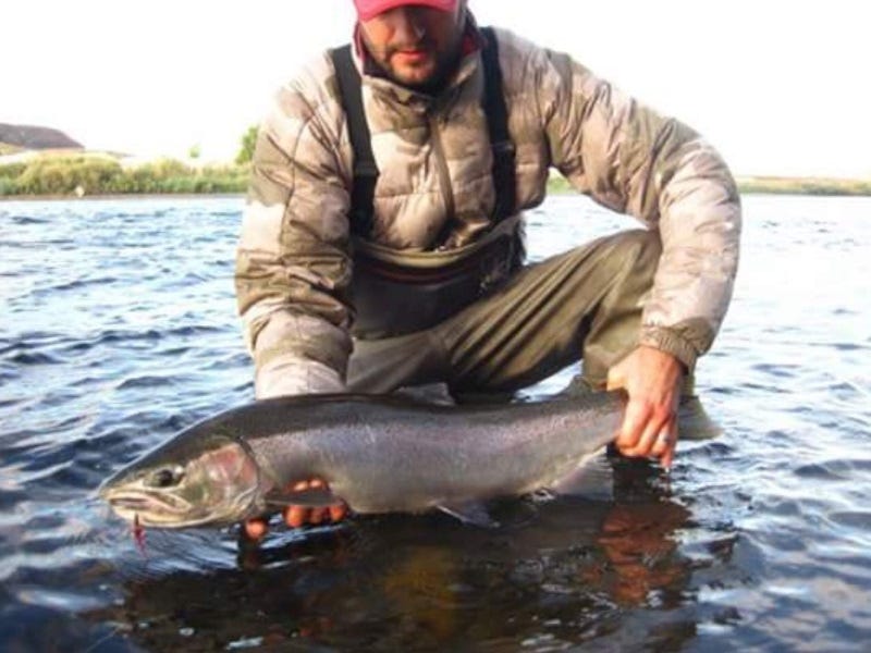 lewiston fishing report