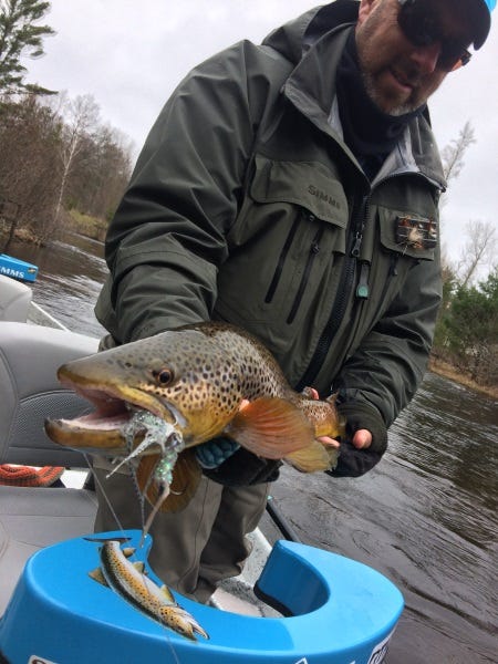 two flies for fall browns (2)