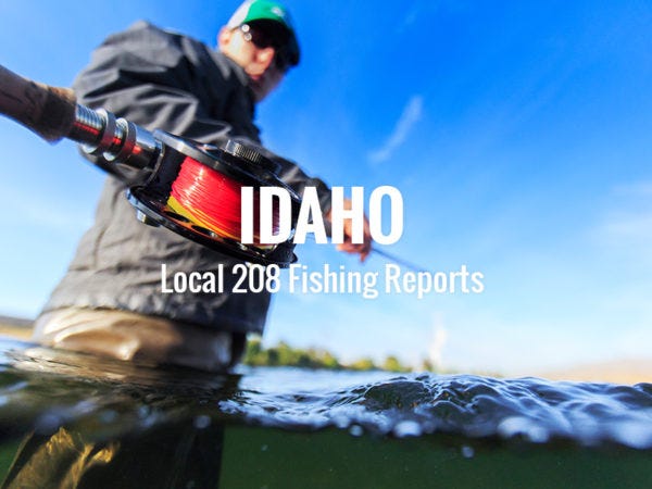 Idaho fishing report cover