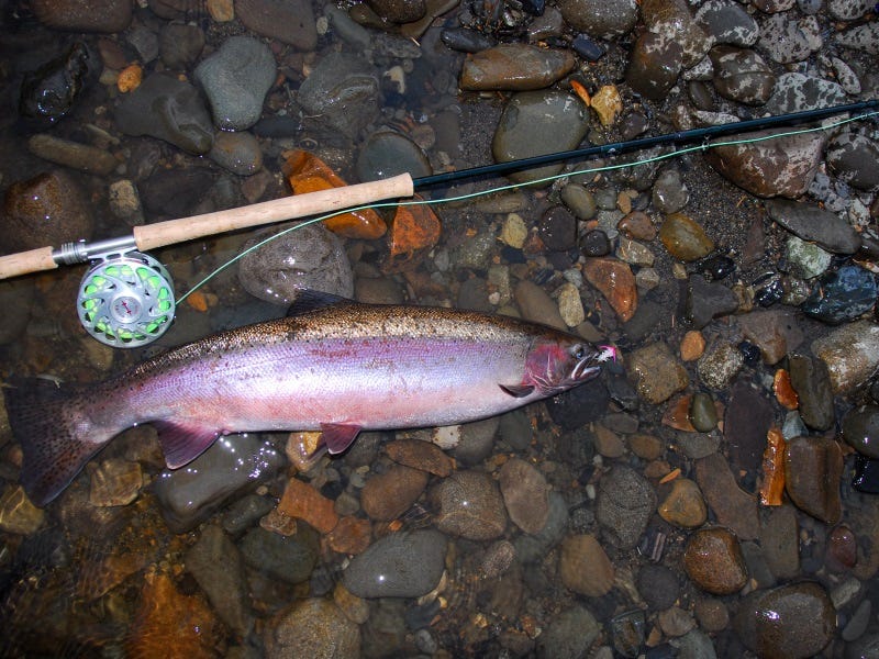 Spey Tips Video Series #1: Mia Sheppard’s Short Game Puts More Fish on The Bank