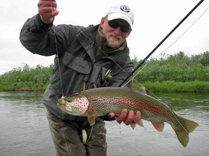 Rainbow Trout Perfection 2