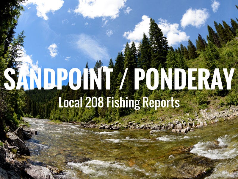 Sandpoint/Ponderay Fishing Report 10.19.2017