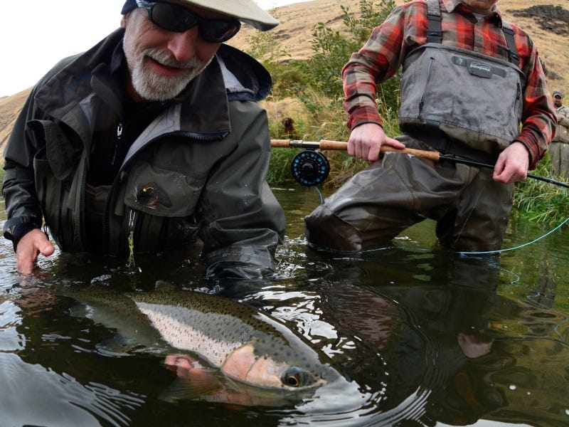 Thin Pickings: Tactics, When Steelhead Abundance Is Low