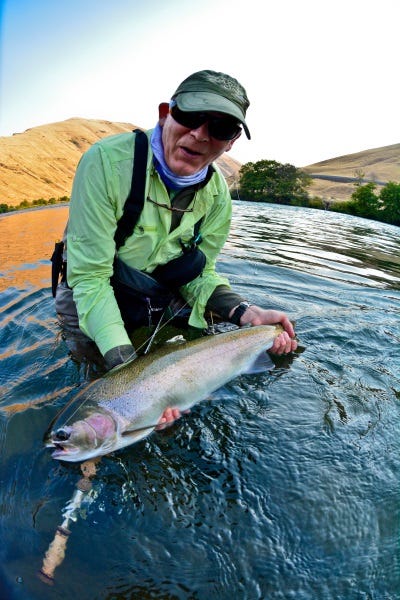 Thin Pickings Tactics, When Steelhead Abundance Is Low (3)