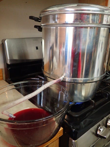 A steam juicer is an invaluable tool for jelly making. 
