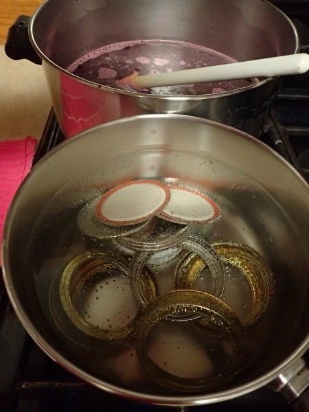 Boiling lids and making Nanking cherry jelly. 