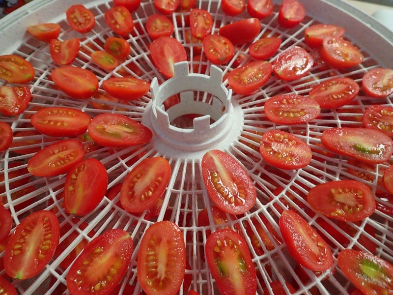 What to consider when choosing a dehydrator