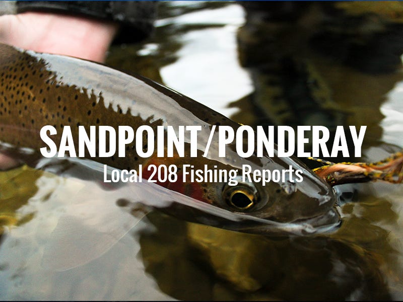 Sandpoint/Ponderay Fishing Report 12.21.17
