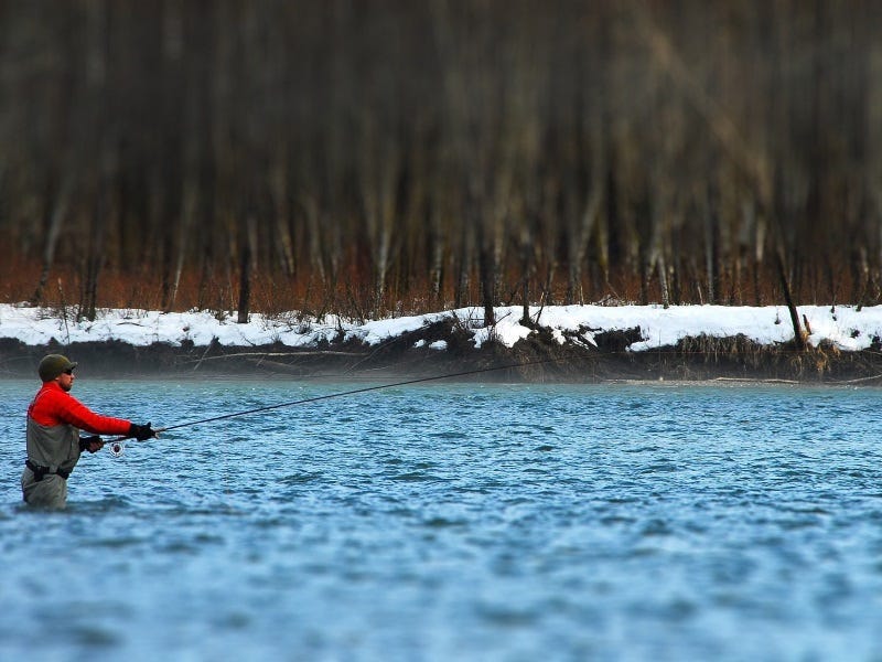 Fly-Fishing 101: Things to Know About Fly Lines