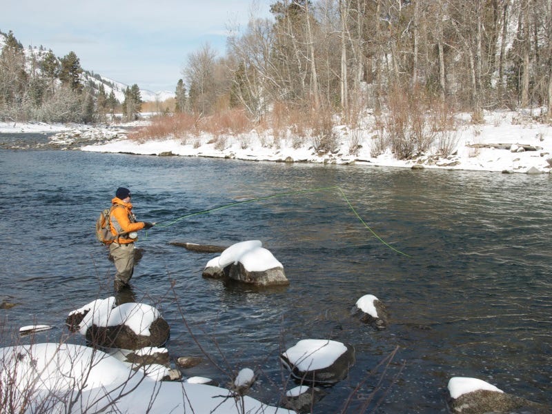 Fly-Fishing 101 Things to Know About Fly Lines (4)