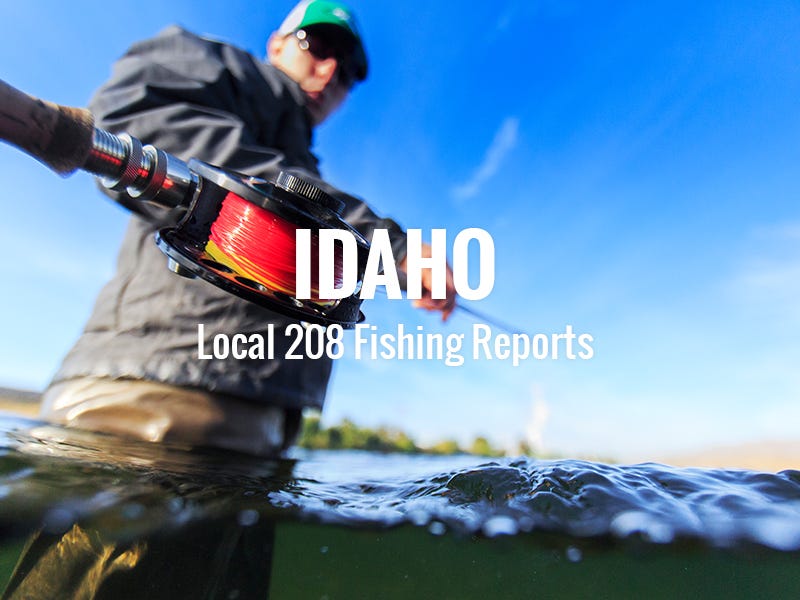 Idaho fishing report 12.15.17