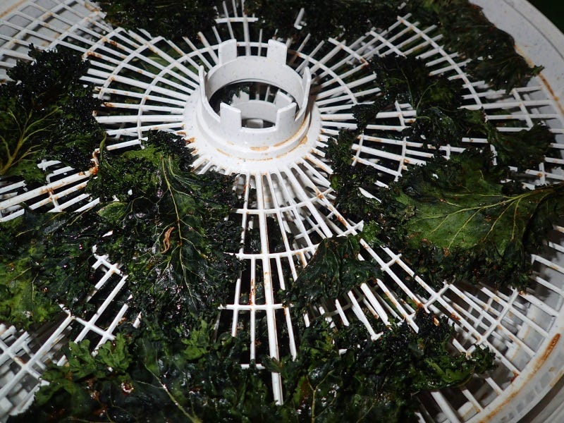 Kale chips dehydrator