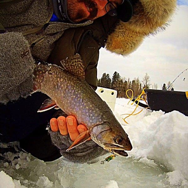 Learn How To Ice Fish Tyler Hicks’ Free Ice-Fishing Seminar (3)