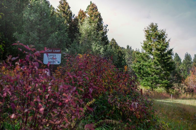 Smith River Upper Spring Creek (2)