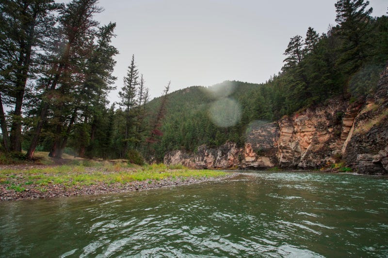 smith river Upper Cow Coulee 3