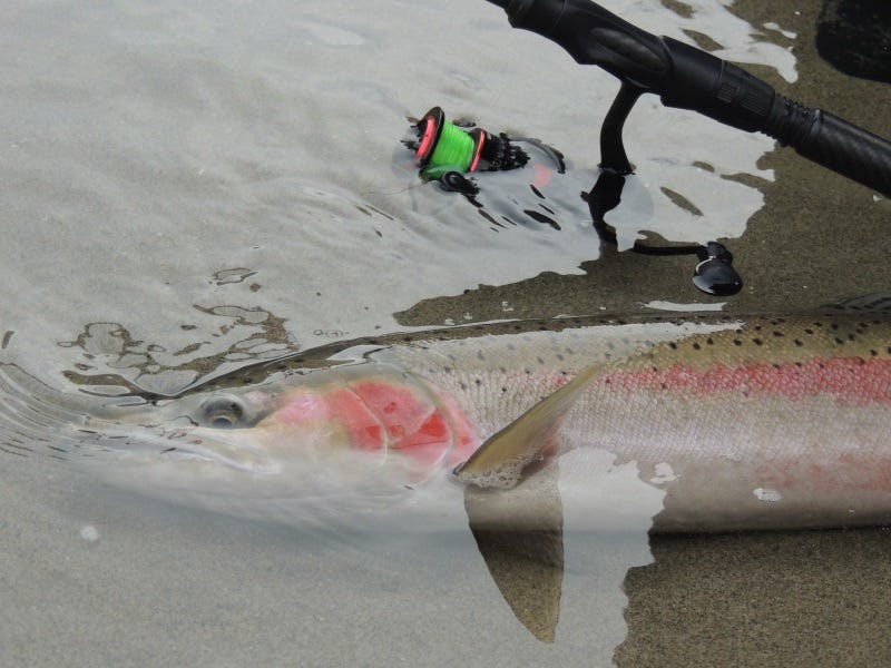 Drifting Beads For Steelhead BeadSteel (3)