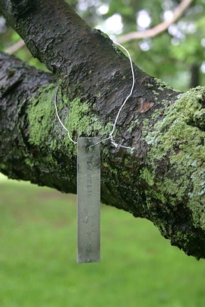 Metal tags last for decades