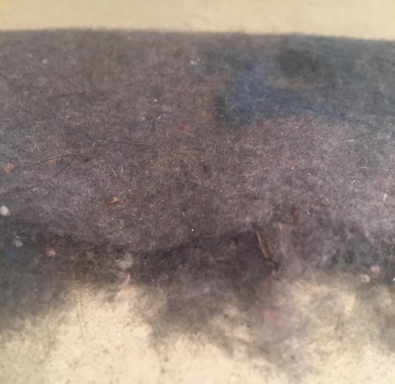 dryer lint for dubbing