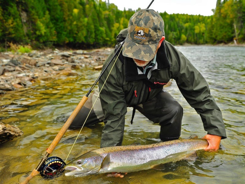 Learn About Atlantic Salmon with Bill Jollymore, at North 40 Lewiston