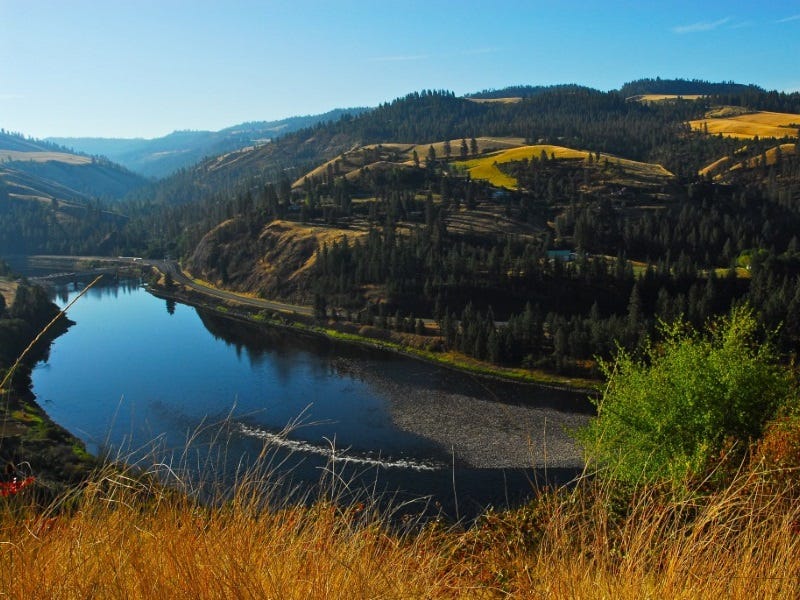 Idaho Opens “No Limit” Kokanee Fishing on North Fork Clearwater Ri...