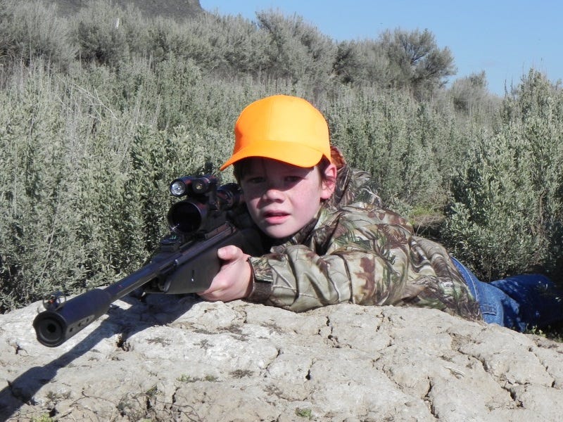 Achieving Air Supremacy: Best Airguns for Home and Ranch