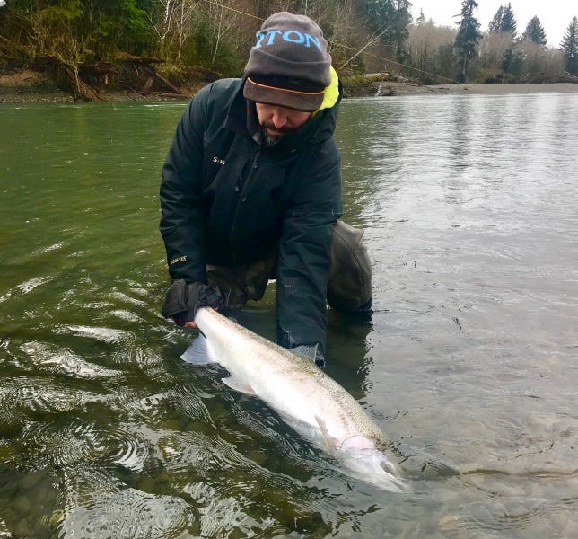 Late Season Steelhead on WashingtonOlympic Peninsula (2)