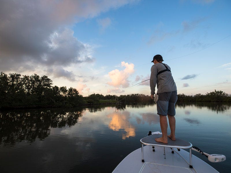 Loop Cross S1 Saltwater Fly Rod Review