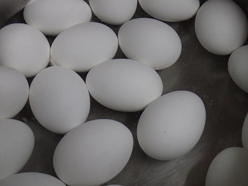 Start-with-white-hardboiled-eggs