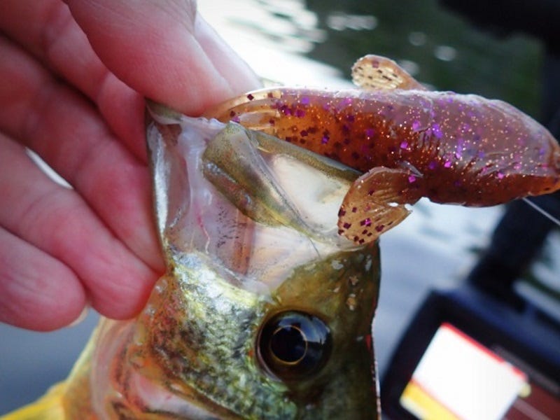 Savage Gear 3D Goby Tube Bait Review