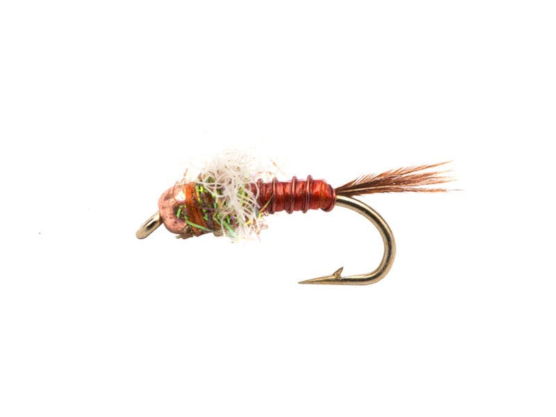 Fly of The Week: Little Green Machine