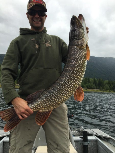 Best Fly Lines for Fishing Northern Pike (1)