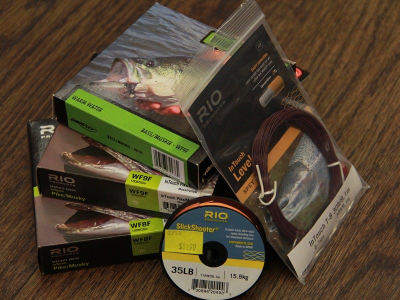 Best Fly Lines for Fishing Northern Pike