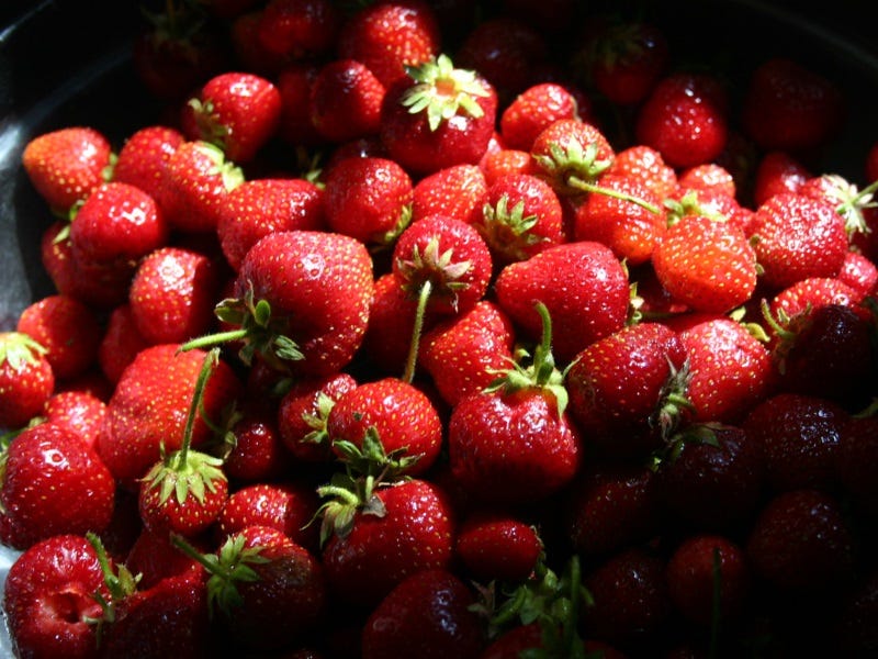 How To Plant Strawberries, For Years of Sweet Reward