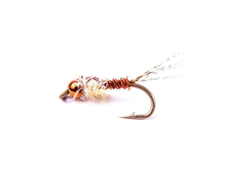 Crust Nymph