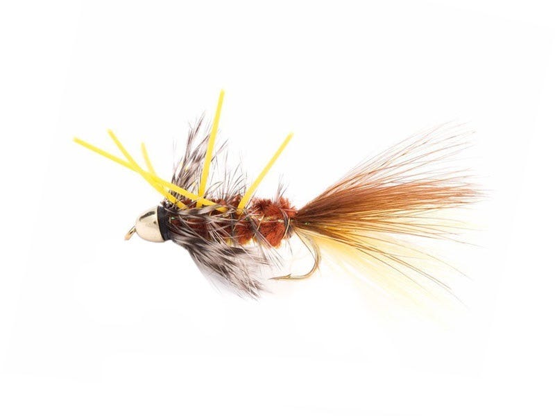 Fly of The Week: JJ Special