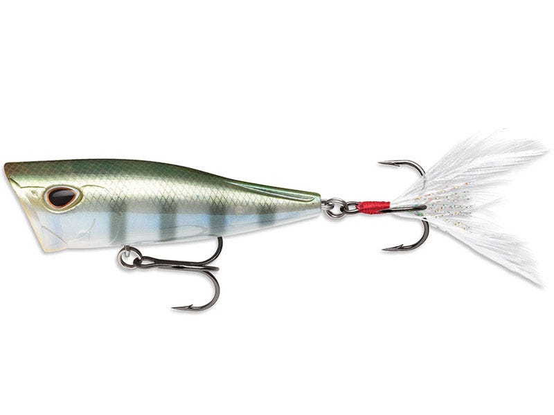 The Topwater Bait Jacob Wheeler is Excited About: The Storm Arashi Cov...