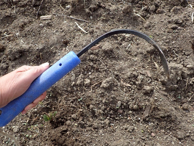 Cobrahead is the champion weeding tool