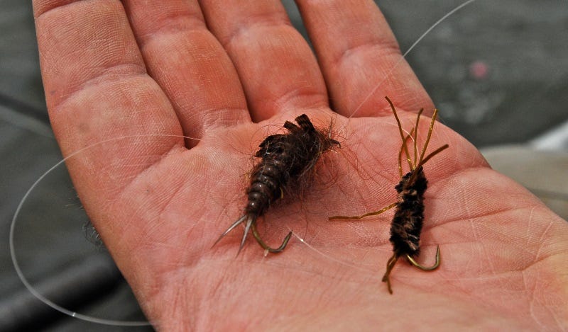 Hatch Guide Salmonflies (2)