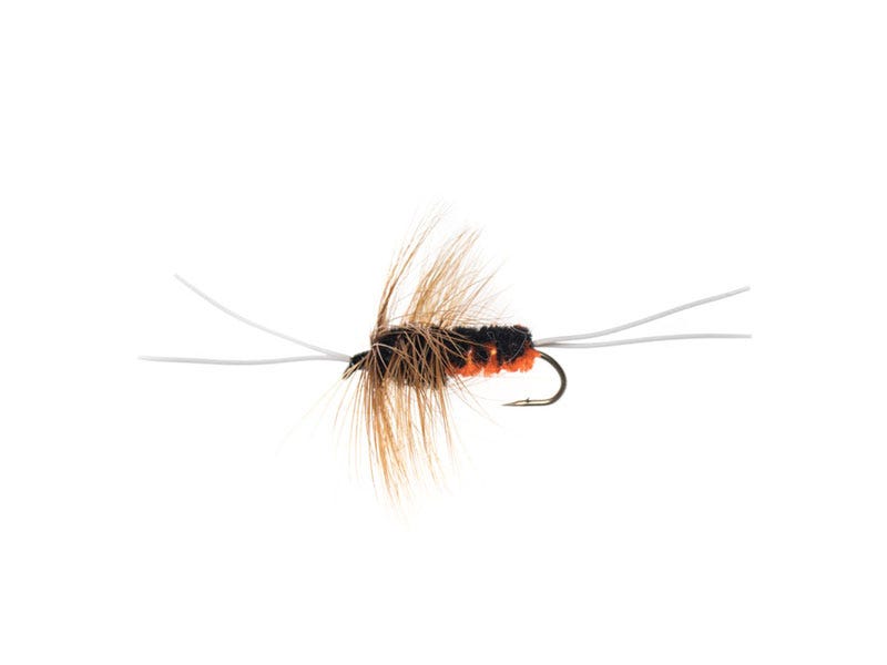 Fly of the Week: Bitch Creek Nymph