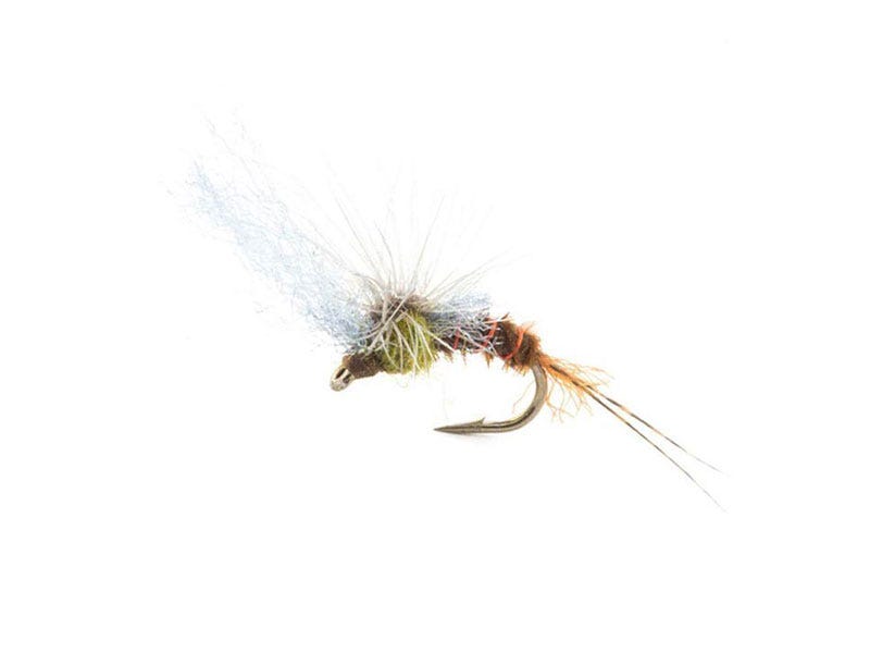 Fly of the Week: Film Critic PMD