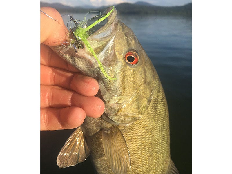 top-5-flies-lake-pend-oreille