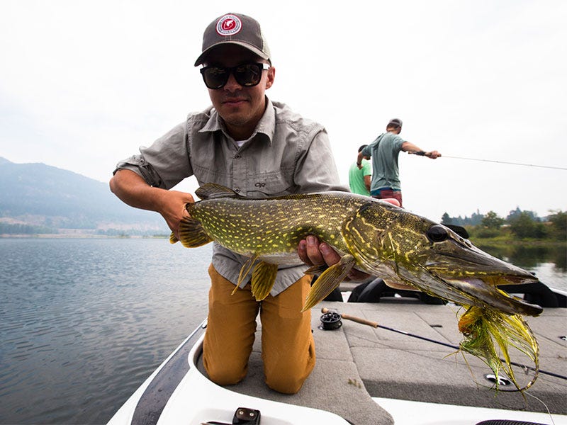pike