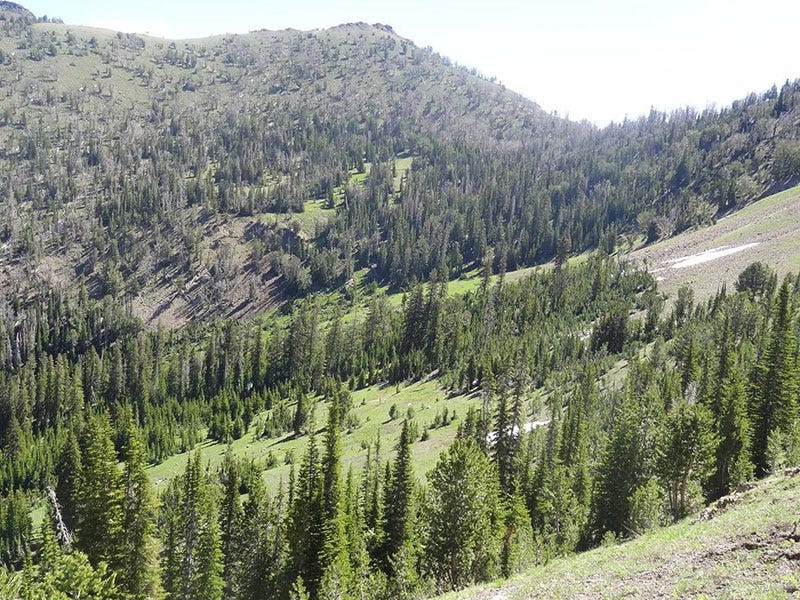 High Country Trail Cams