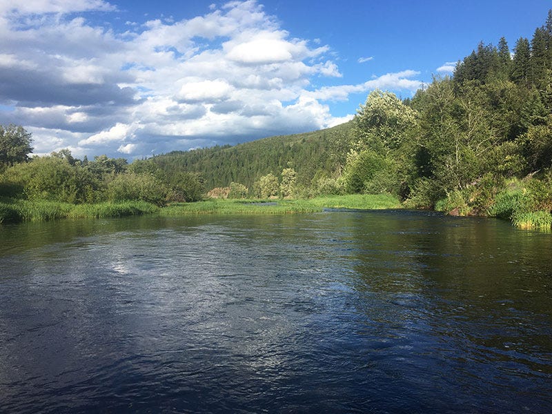 Fly-Fishing 101: 10 Tips on How to Approach a New Fishery