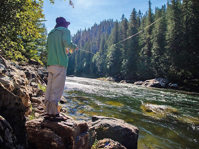 Idaho's Hidden Gem, The North Fork of the Clearwater River