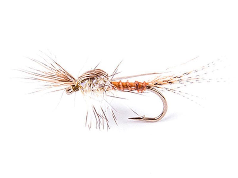 Fly of the Week: TFP PMD Cripple